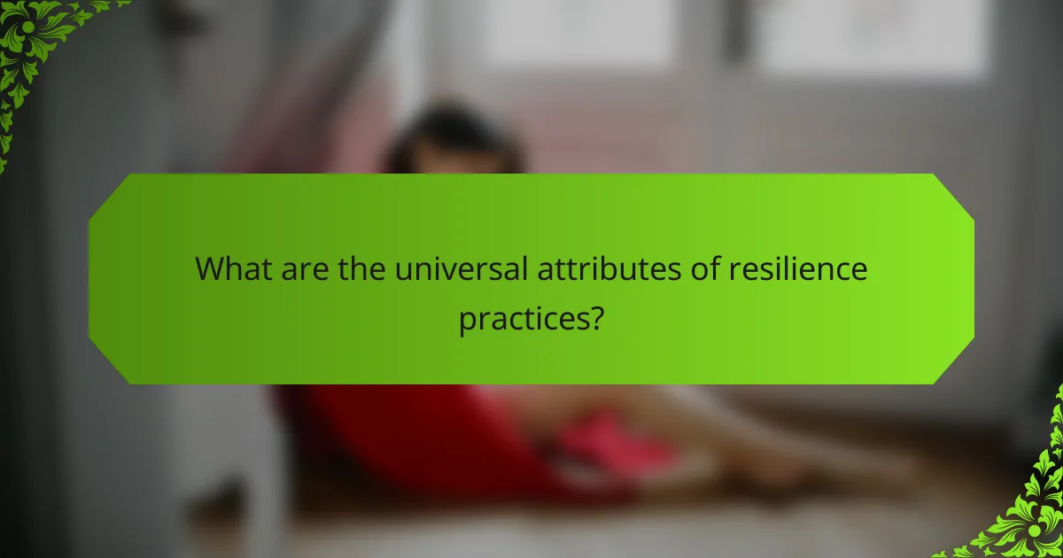 What are the universal attributes of resilience practices?