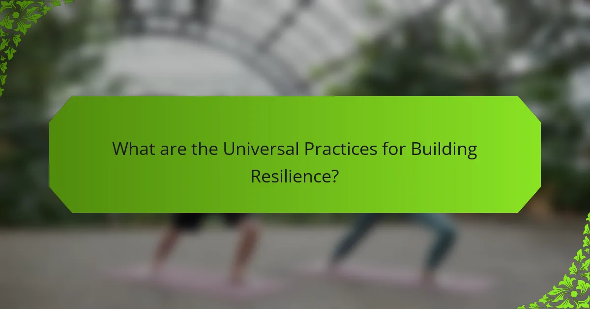 What are the Universal Practices for Building Resilience?