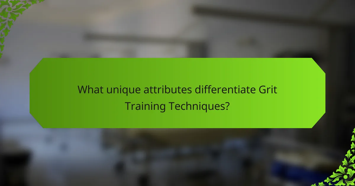 What unique attributes differentiate Grit Training Techniques?